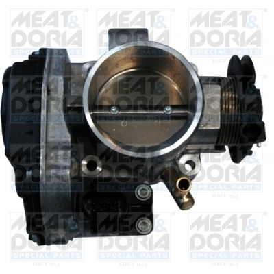 Throttle Body